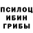 ГАШ гарик Fortes Green