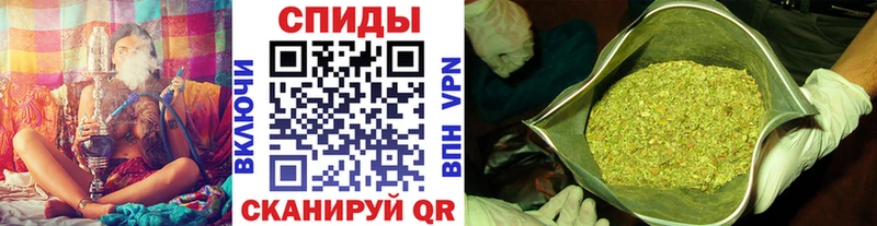omg как войти  купить  цена  Макушино  БУТИРАТ BDO 33% 