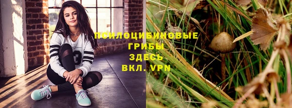герыч Пестово