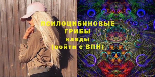 герыч Пестово