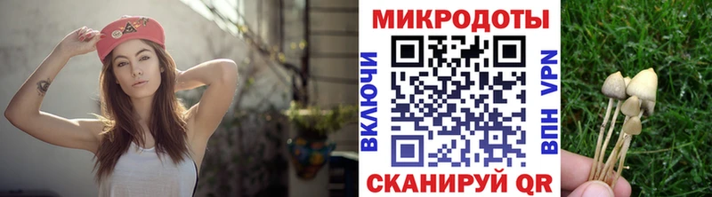 Галлюциногенные грибы Magic Shrooms  цена   Макушино 